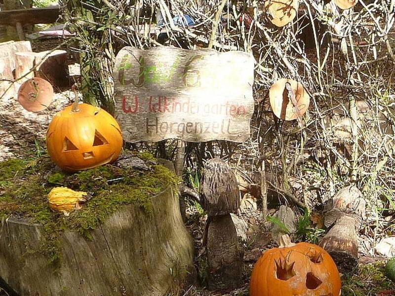 Eine Todholzhecke und ein abgesägter Baumstumpf, der mit Moos bewachsen ist, im Bild sind mehrere orange, geschnitzte Kürbisse und ein Schild mit der Aufschrift "Waldkindergarten Horgenzell" zu sehen