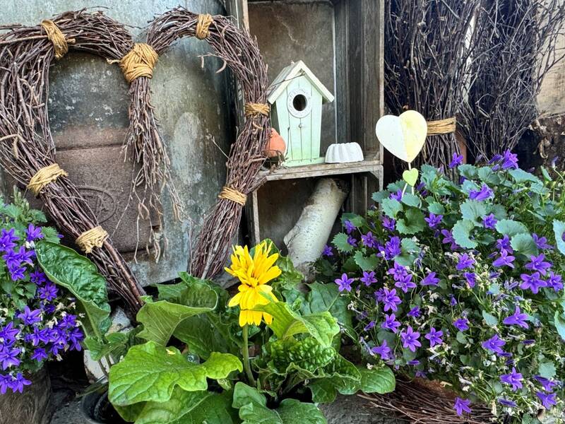 Ein Blumenbeet mit verschiedenen lila und gelben Blumen. In der Mitte ein gebasteltes Herz aus Reben gebunden.