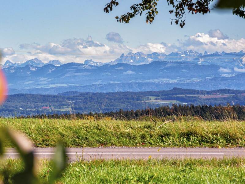 Im Vordergrund sind Obstbäume mit reifen Äpfeln zu sehen, dahinter Grünfläche und ein wundschönes Bergpanorama der österreicher und Schweizer Alpen