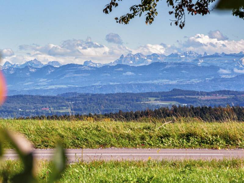 Im Vordergrund sind Obstbäume mit reifen Äpfeln zu sehen, dahinter Grünfläche und ein wundschönes Bergpanorama der österreicher und Schweizer Alpen