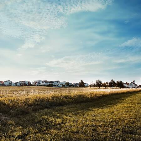 Ansicht von Horgenzell mit Landschaft im Vordergrund. Die Wiese und der Himmel nehmen am Meisten Platz ein, die Bebauung ist silhouettenartig zu erkennen.